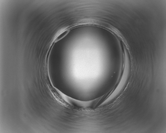 X0000079301242200612011741