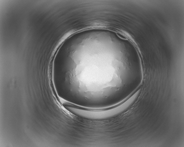 X0000079301243200612011741