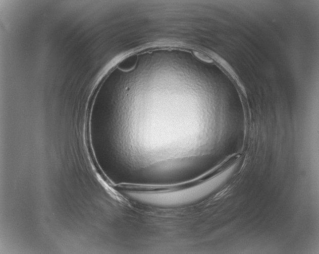 X0000079301245200612011741