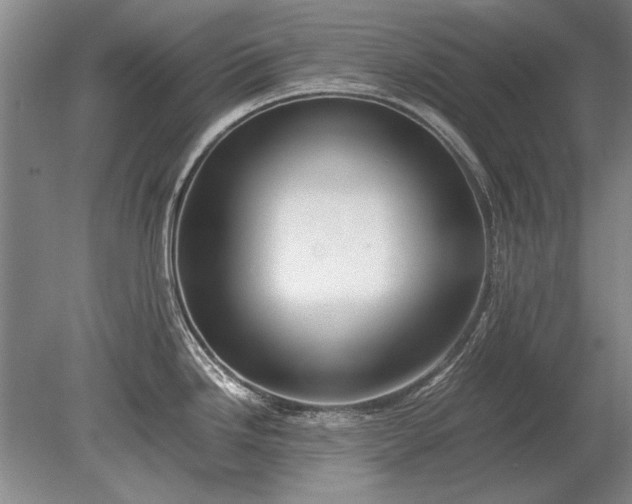 X0000079301246200612011741