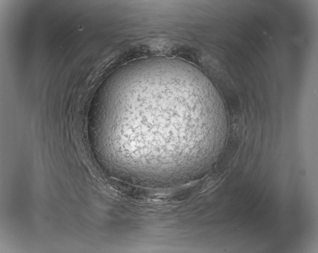 X0000079301249200612011741