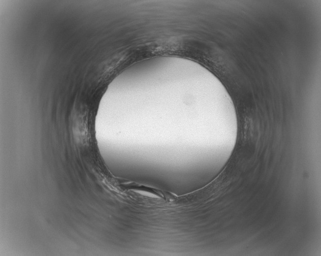 X0000079301250200612011741