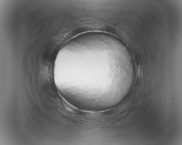 X0000079301251200612011741