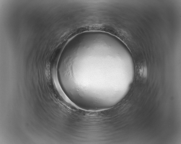 X0000079301252200612011741