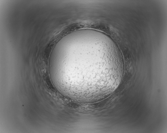 X0000079301253200612011741