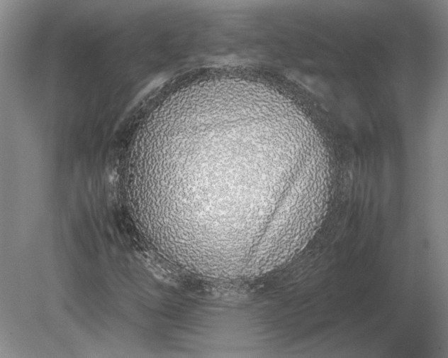 X0000079301254200612011741
