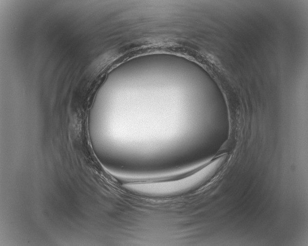 X0000079301257200612011741