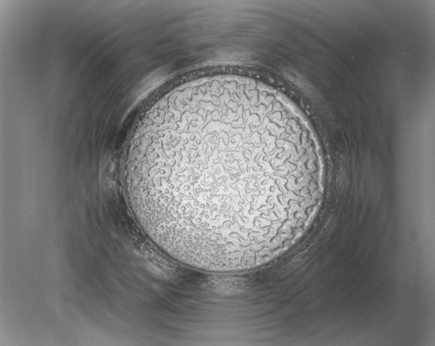 X0000079301258200612011741