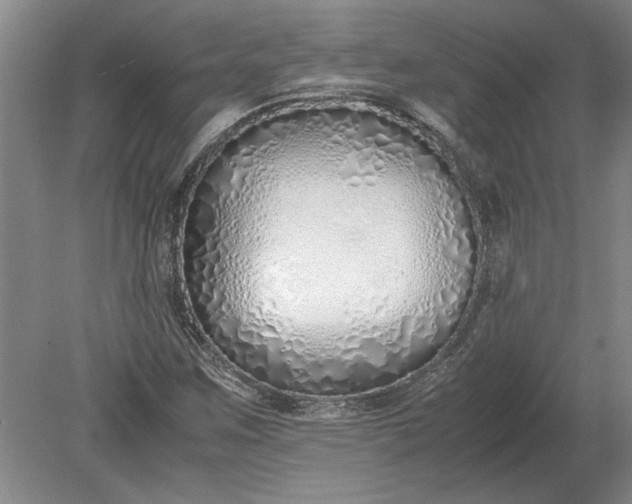 X0000079301259200612011741