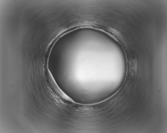 X0000079301260200612011740