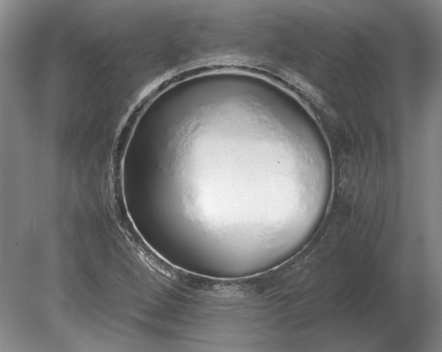 X0000079301264200612011740
