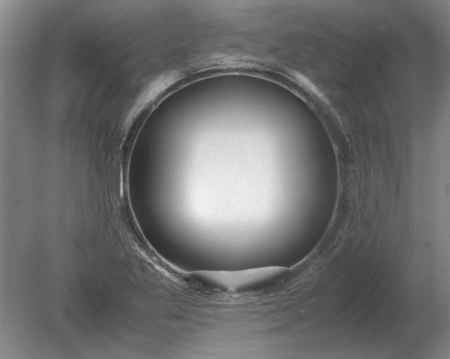 X0000079301269200612011740