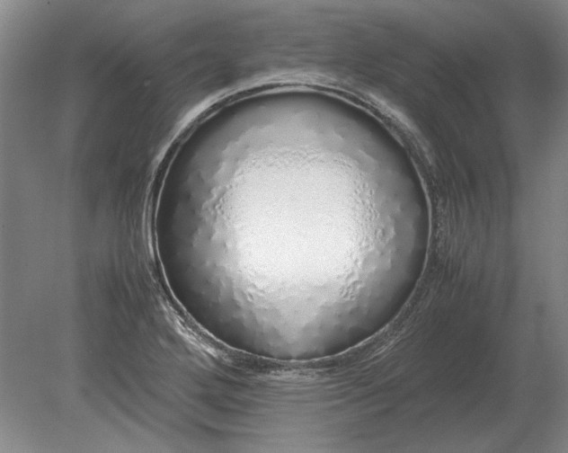 X0000079301272200612011740