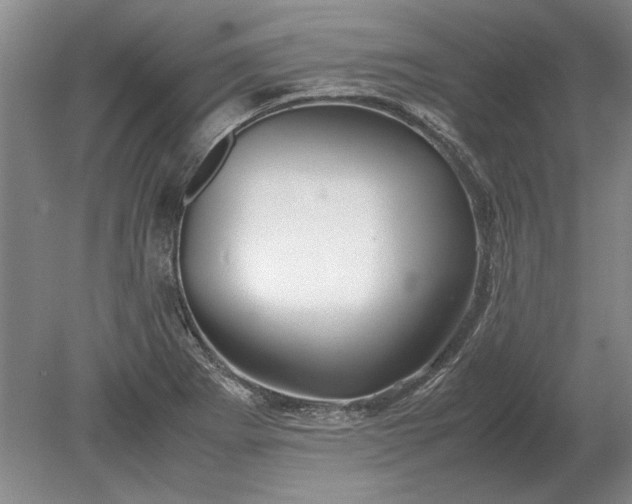X0000079301273200612011740