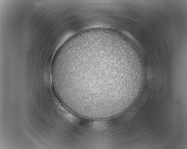 X0000079301274200612011740