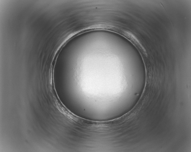 X0000079301276200612011740