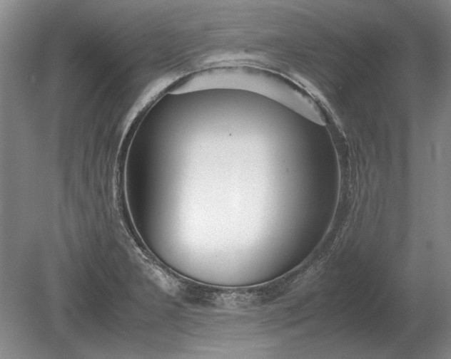 X0000079301277200612011740