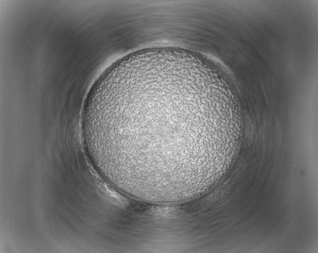 X0000079301278200612011740