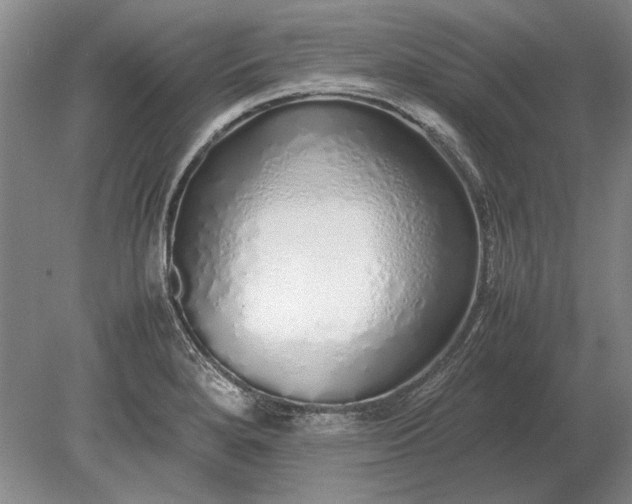X0000079301280200612011740