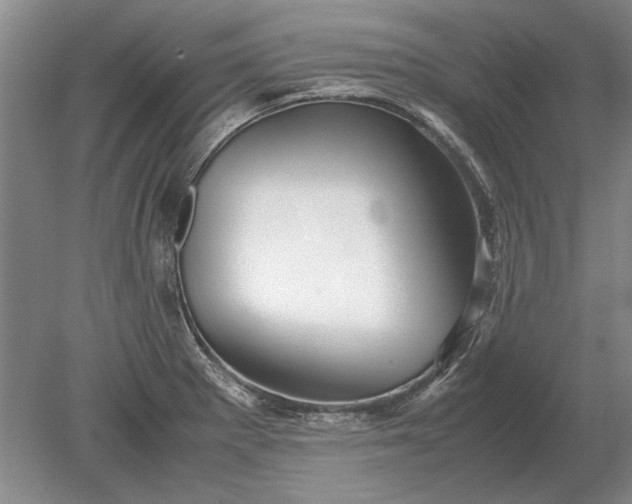 X0000079301281200612011740