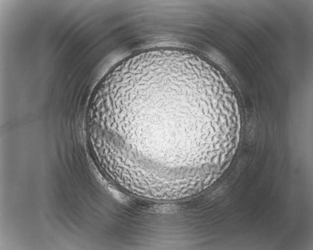 X0000079301282200612011740