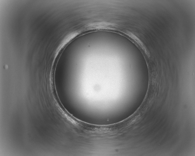 X0000079301285200612011740