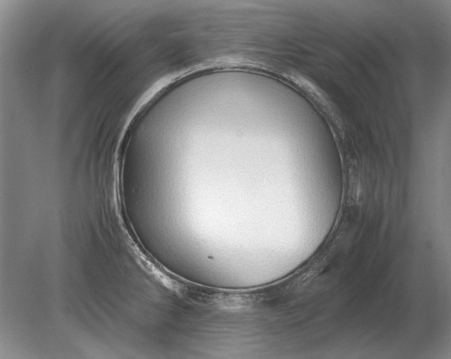 X0000079301286200612011740