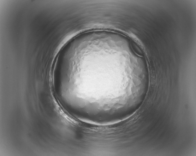 X0000079301287200612011740