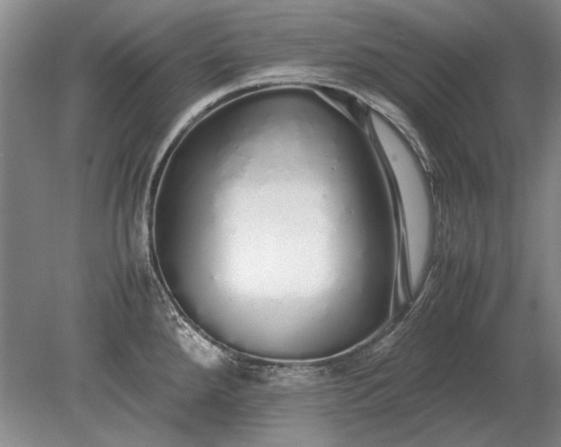 X0000079301288200612011740