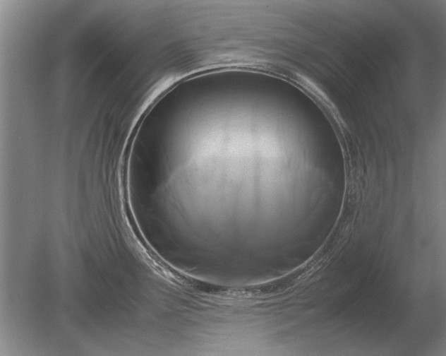 X0000079301291200612011740