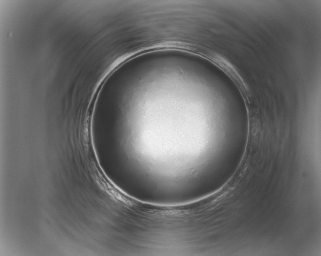 X0000079301292200612011740