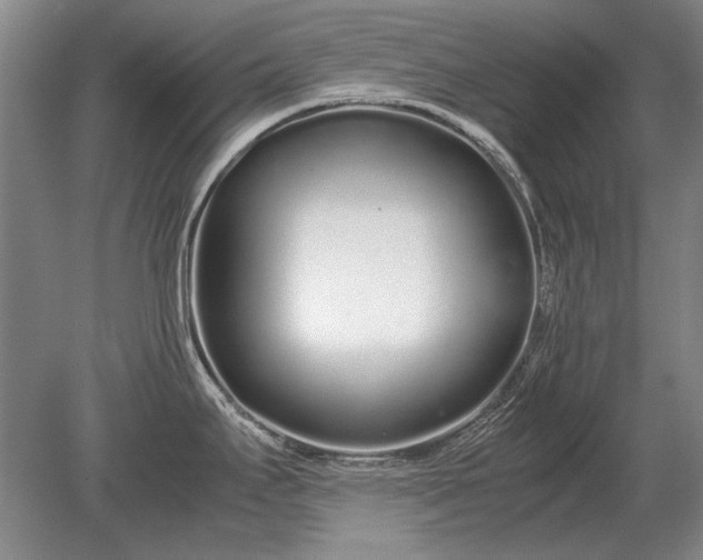 X0000079301295200612011740