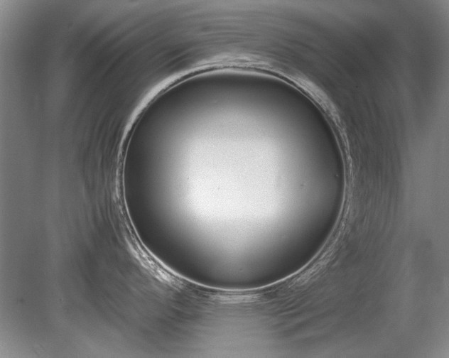 X0000079301296200612011740