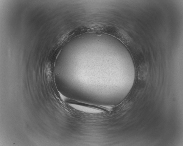 X0000079301298200612011739