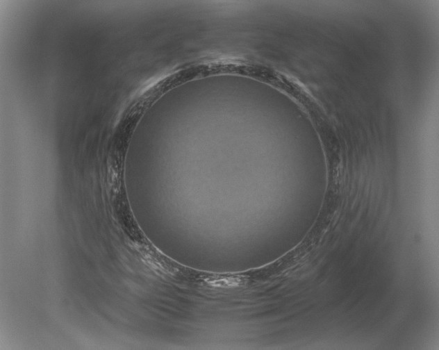 X0000079301303200612011739