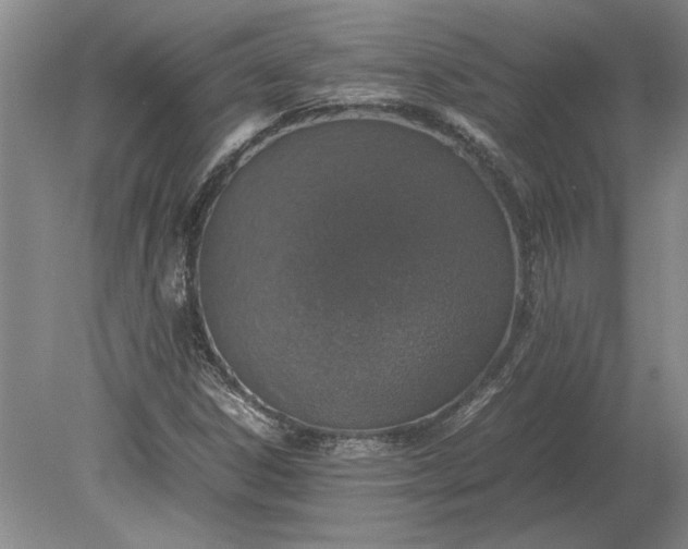 X0000079301306200612011739