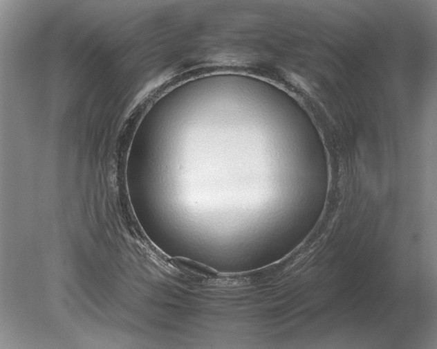 X0000079301307200612011739