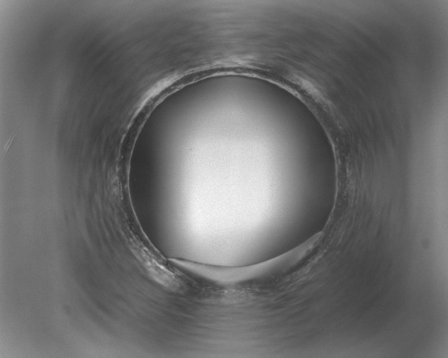 X0000079301308200612011739