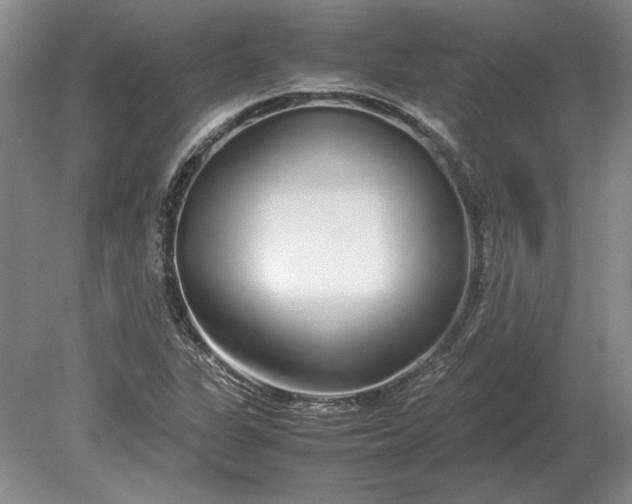 X0000079301311200612011739
