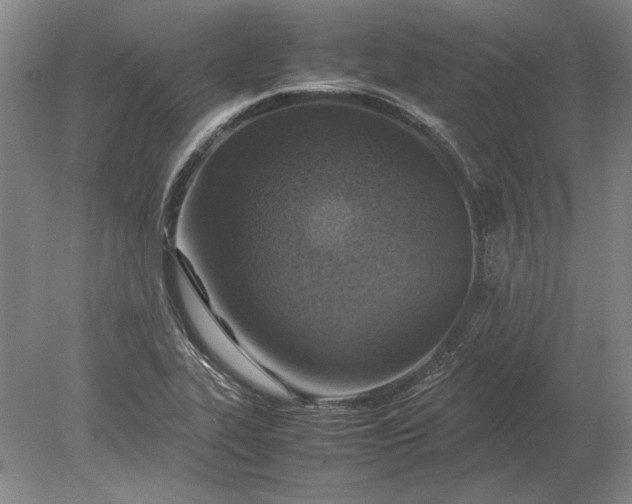 X0000079301319200612011739