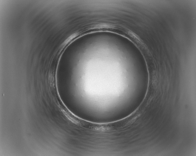 X0000079301321200612011739