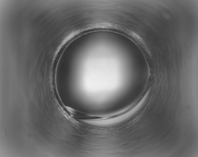 X0000079301326200612011740