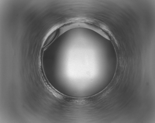 X0000079301328200612011740