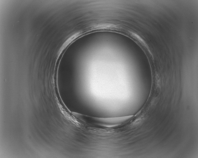 X0000079301330200612011740