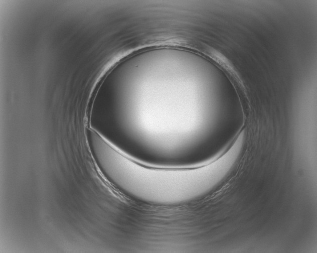 X0000079301332200612011740