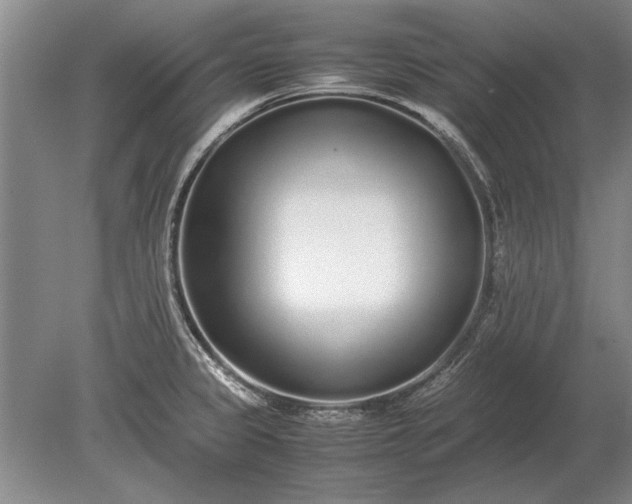 X0000079301333200612011740