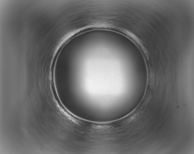 X0000079301335200612011740