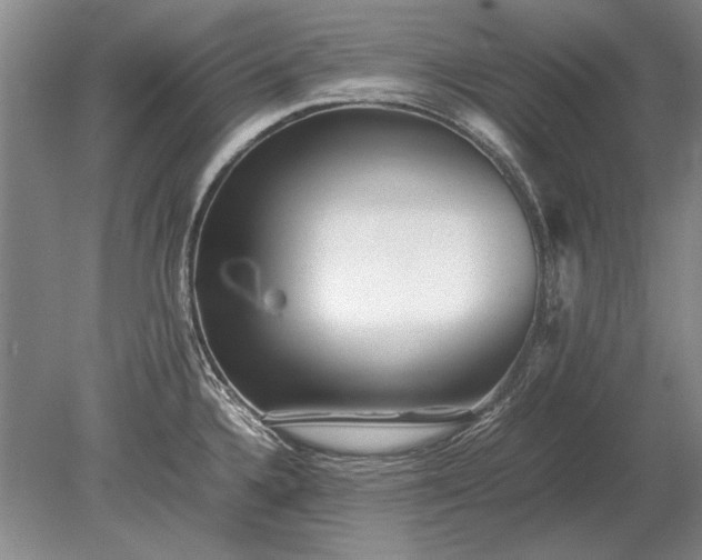X0000079301336200612011740