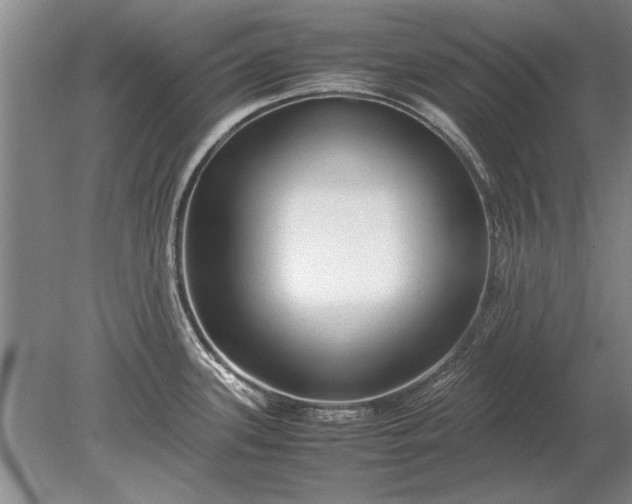 X0000079301339200612011740