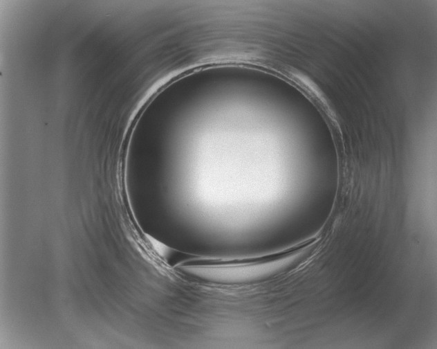X0000079301340200612011740